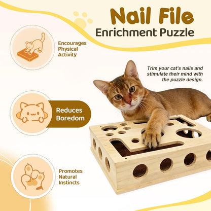 PurrFIle Claw Box™
