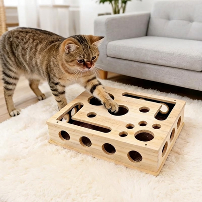 PurrFIle Claw Box™